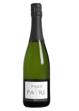 Fines Bulles Du Payre