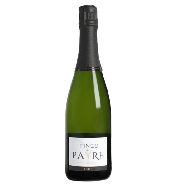 Fines Bulles Du Payre