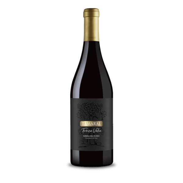 Finca Velia